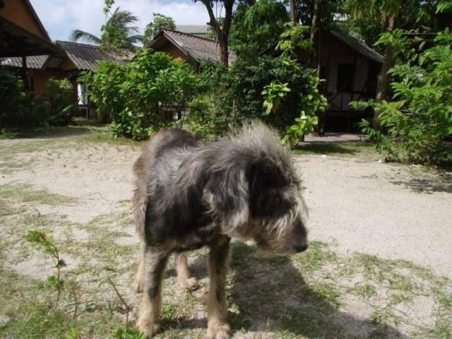 Phangan Island บ้านใต้ ภายนอก รูปภาพ